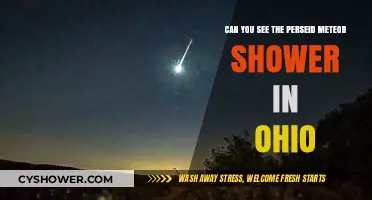 Ohio's Perseid Meteor Shower: Visibility Tips and Prime Viewing Spots