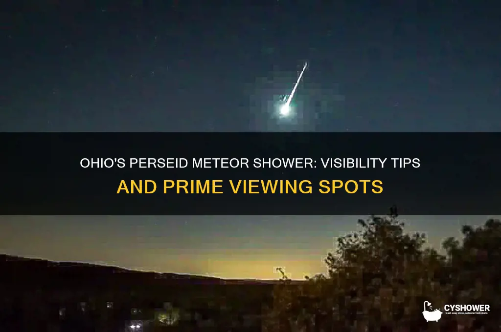 can you see the perseid meteor shower in ohio