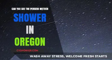 Oregon's Night Sky: Spotting the Perseid Meteor Shower This Year