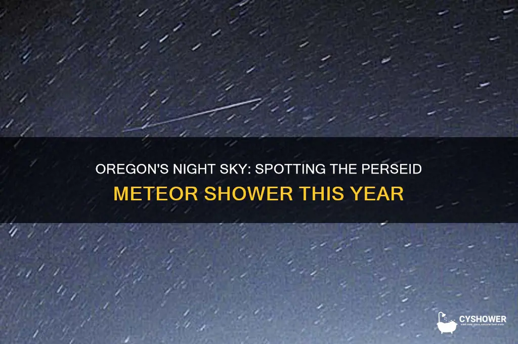 can you see the perseid meteor shower in oregon