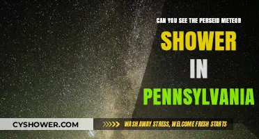 Pennsylvania's Perseid Meteor Shower: Visibility Tips and Best Viewing Spots