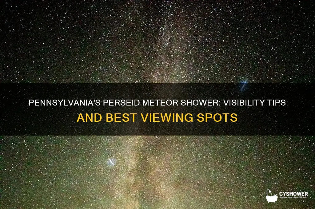 can you see the perseid meteor shower in pennsylvania