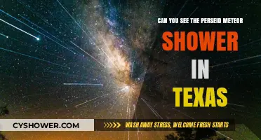 Texas Perseid Meteor Shower: Visibility Tips and Prime Viewing Spots