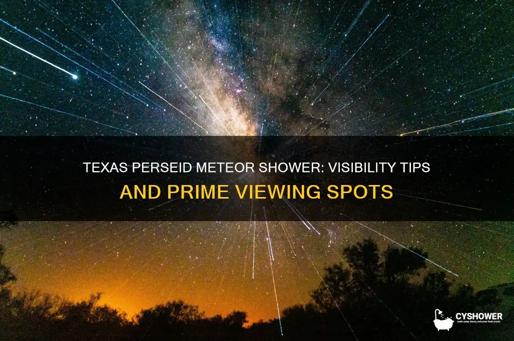 can you see the perseid meteor shower in texas