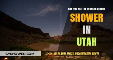 Utah's Night Sky: Spotting the Perseid Meteor Shower This Year