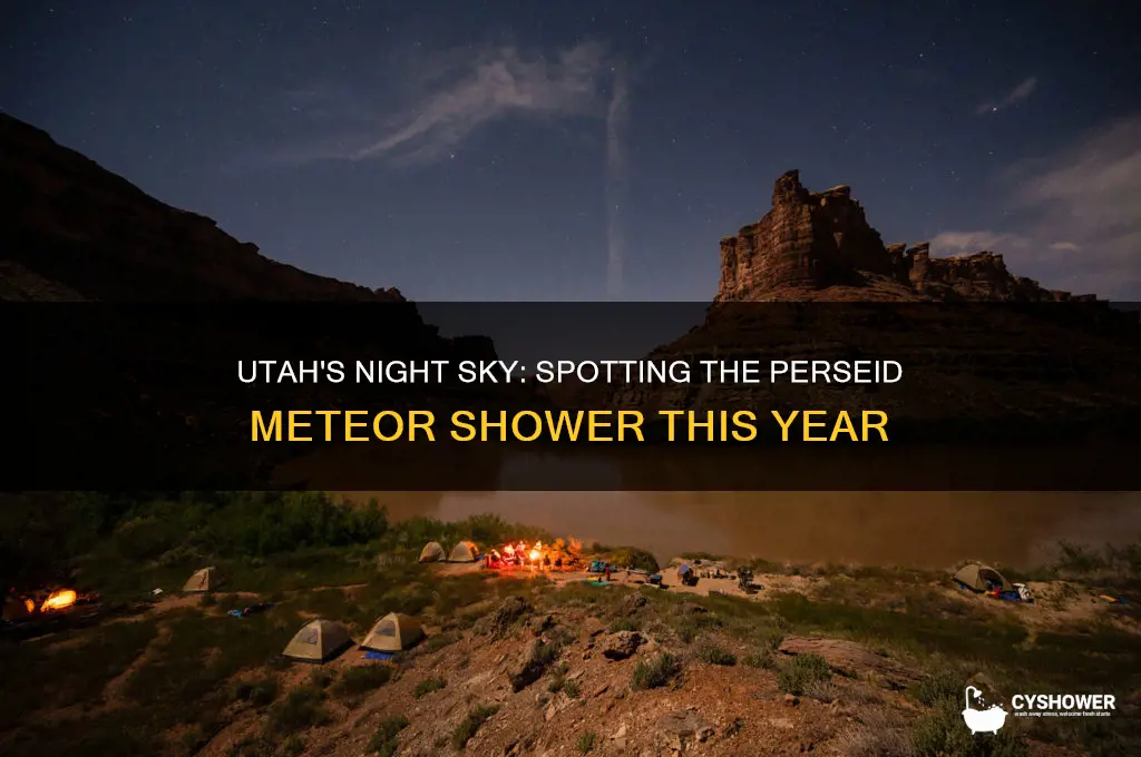 can you see the perseid meteor shower in utah
