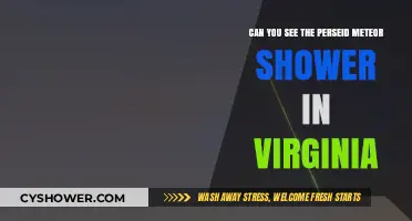 Virginia's Perseid Meteor Shower: Where and When to Watch
