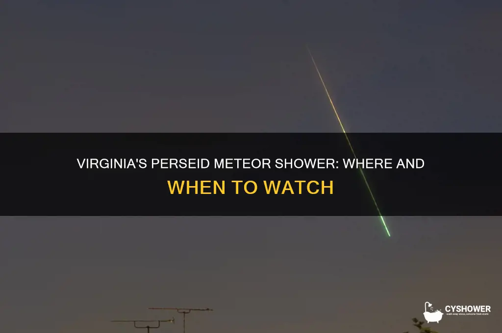 can you see the perseid meteor shower in virginia