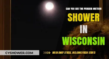 Wisconsin's Perseid Meteor Shower: Where and When to Watch