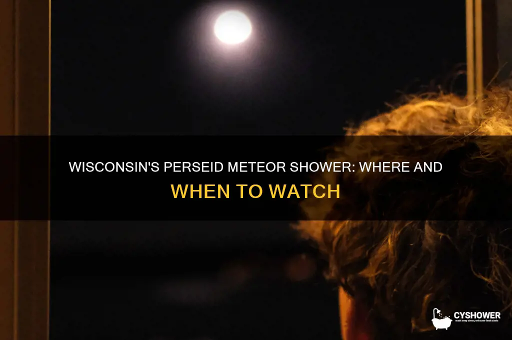 can you see the perseid meteor shower in wisconsin