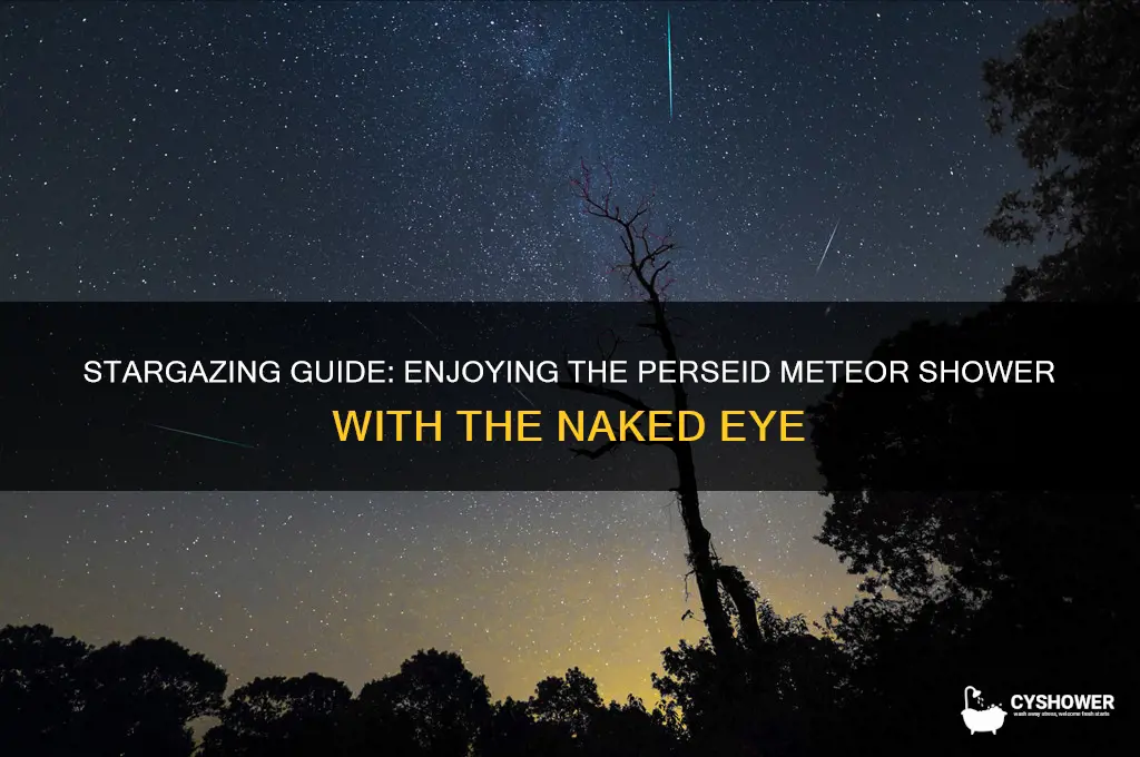 can you see the perseid meteor shower without a telescope