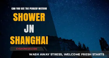 Shanghai Skies: Spotting the Perseid Meteor Shower in the City