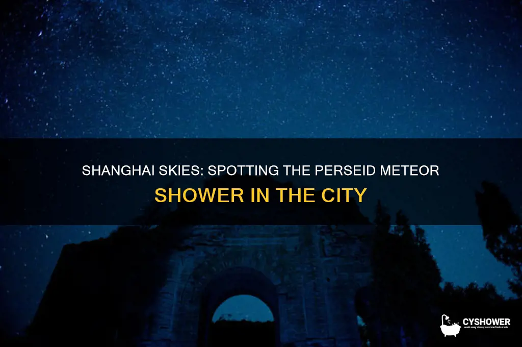 can you see the perseif meteor shower jn shanghai