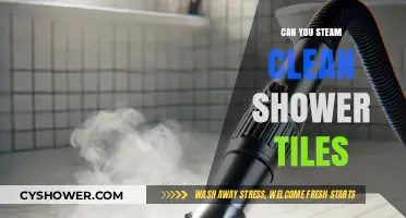 Steam Cleaning Shower Tiles: A Deep Clean Solution for Grout and Grime