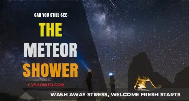 Can You Still See the Meteor Shower? A Guide to Peak Viewing Times