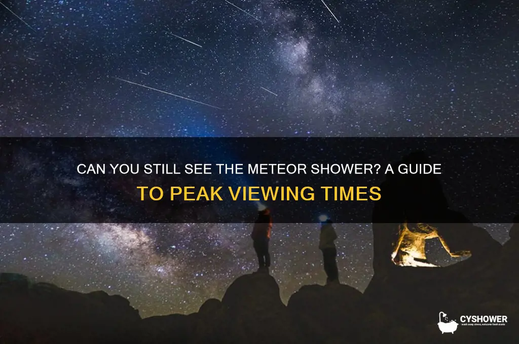 can you still see the meteor shower