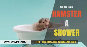 Can Hamsters Take Showers? Safe Bathing Tips for Your Pet