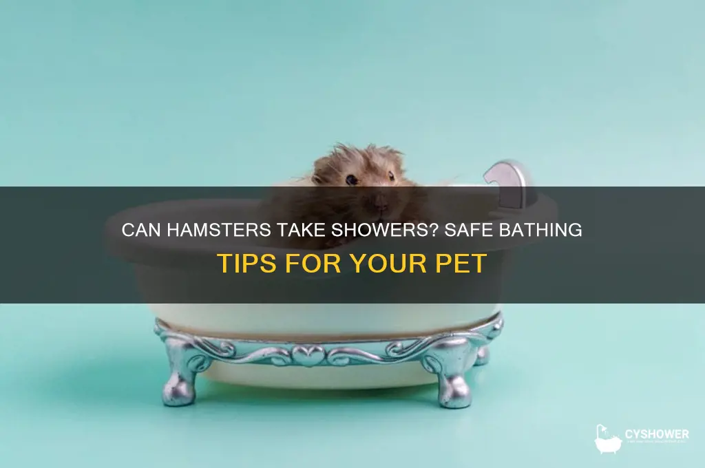 can you take a hamster a shower