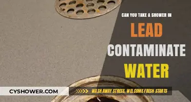 Is Showering in Lead-Contaminated Water Safe? Risks and Precautions