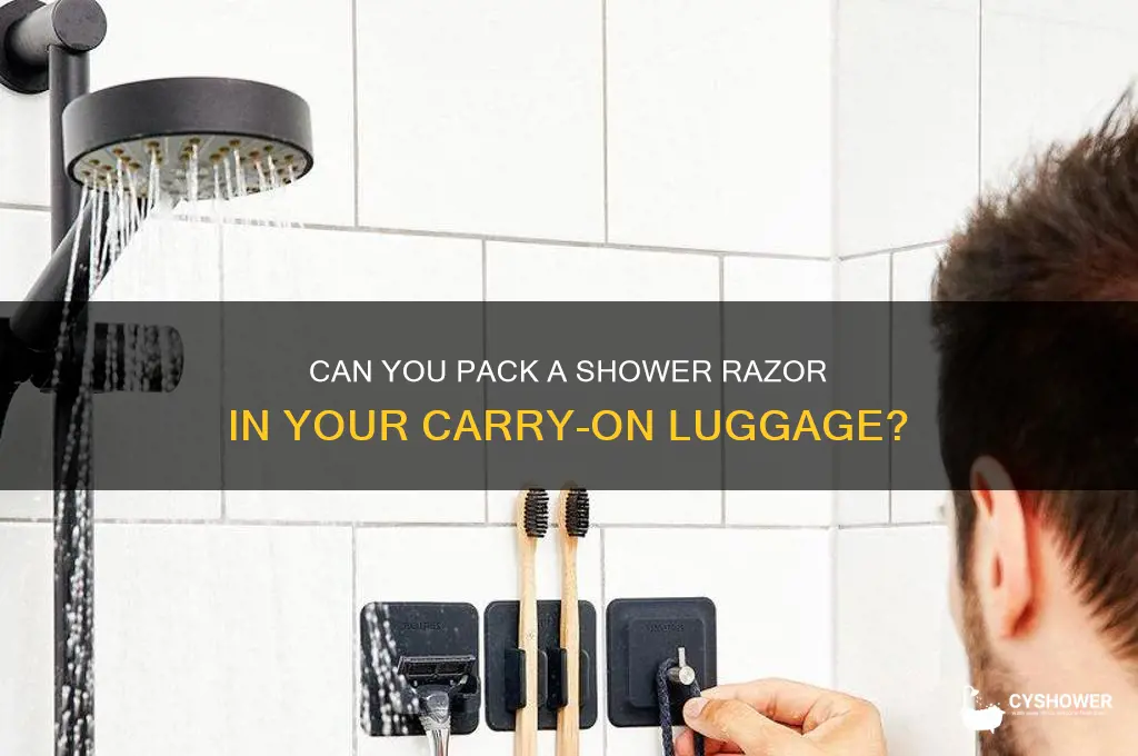 can you take a shower razor on a plane