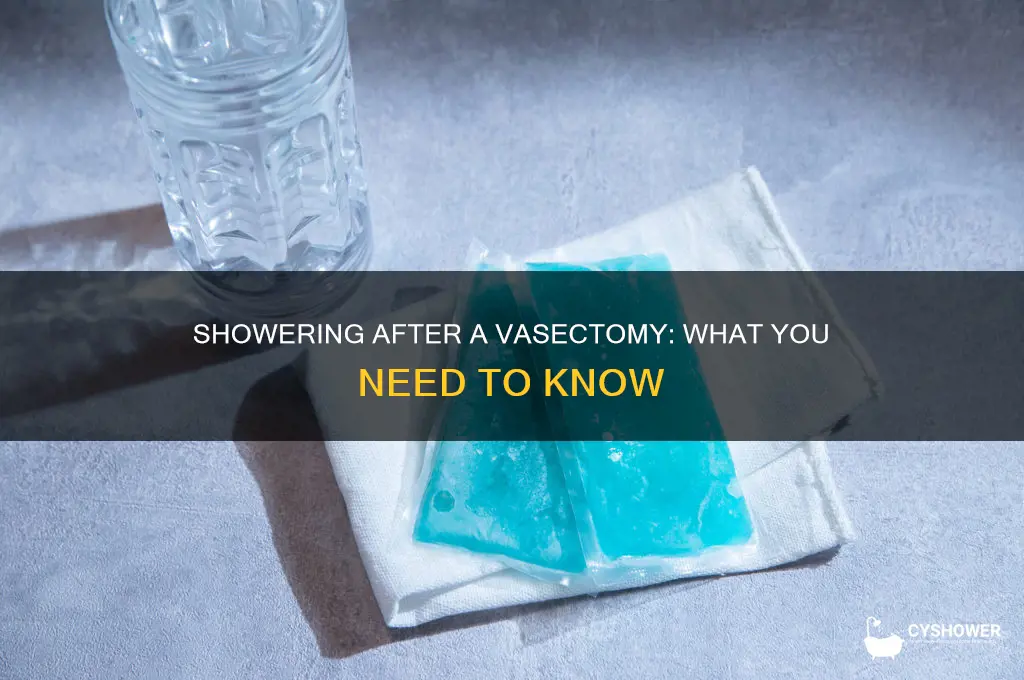 can you take a shower sheet vasectomy