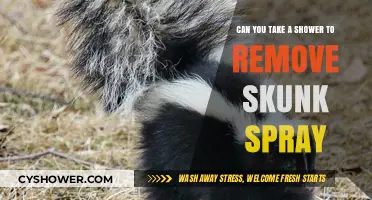Effective Ways to Remove Skunk Spray: Shower Solutions Revealed