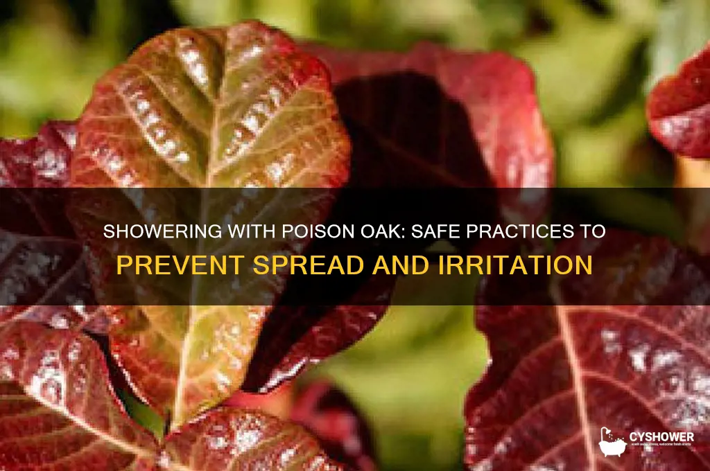 can you take a shower with poison oak
