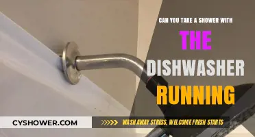 Showering While Dishwasher Runs: Safe or Plumbing Hazard?
