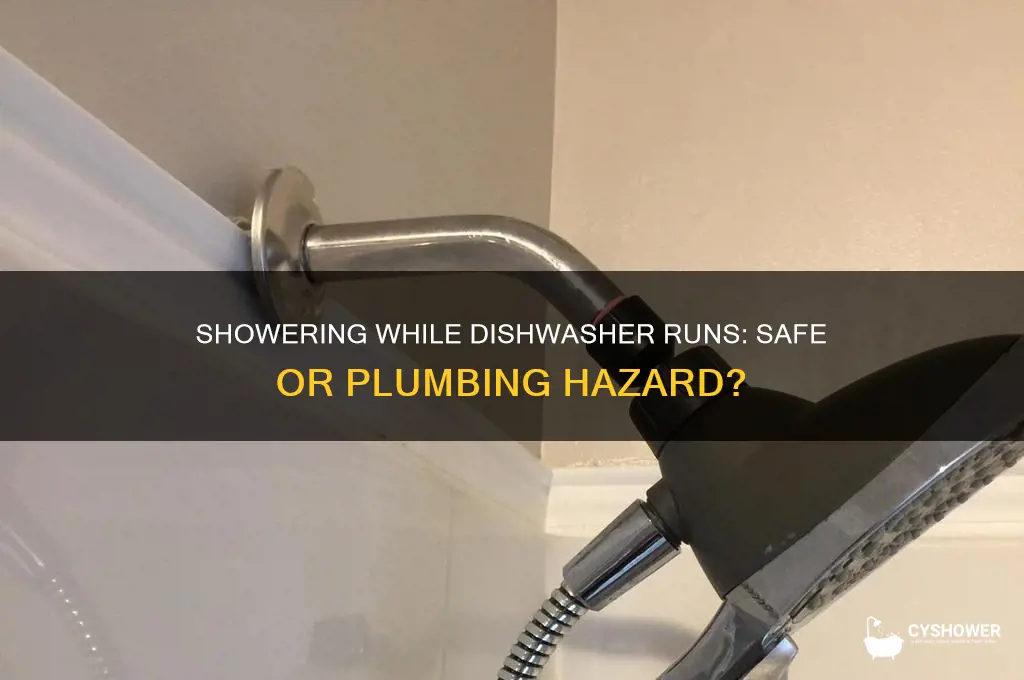can you take a shower with the dishwasher running