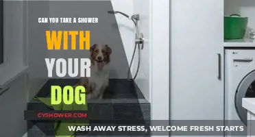 Showering with Your Dog: Tips, Benefits, and What to Avoid