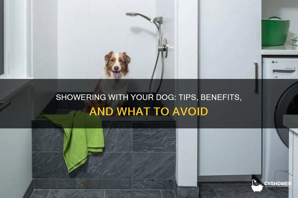 can you take a shower with your dog