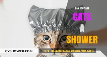 Can Cats Take Showers? Tips for Bathing Your Feline Friend