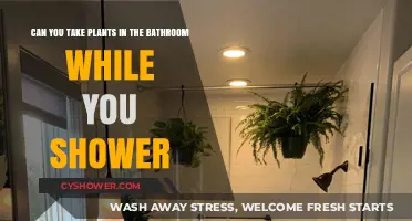 Showering with Plants: Benefits and Tips for Bathroom Greenery