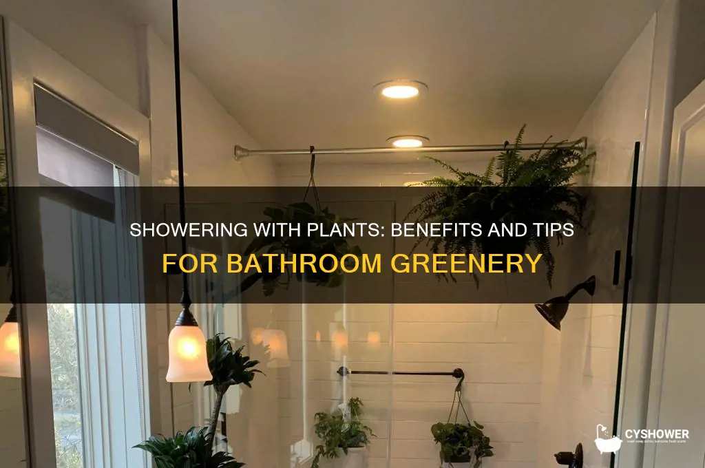 can you take plants in the bathroom while you shower