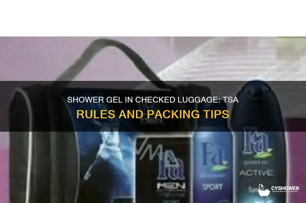 can you take shower gel in checked luggage
