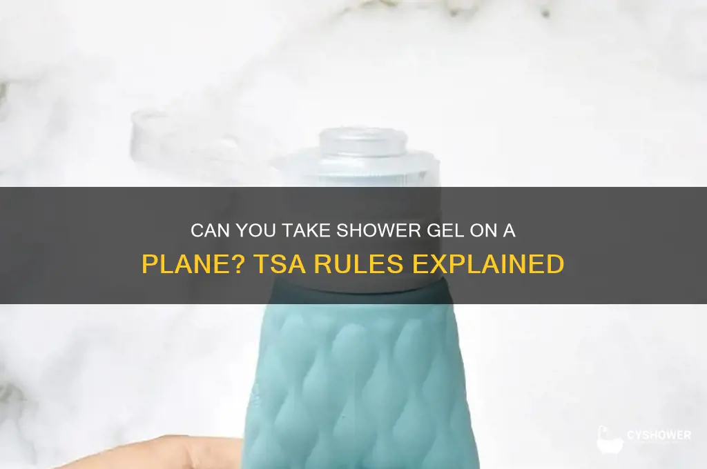can you take shower gel on a plane