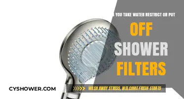 Should You Remove or Delay Installing Shower Filters? Water Quality Tips