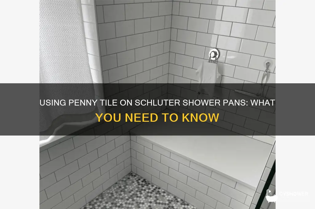 can you use penny tile on a schluter shower pan