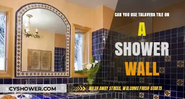 Using Talavera Tile on Shower Walls: Pros, Cons, and Tips