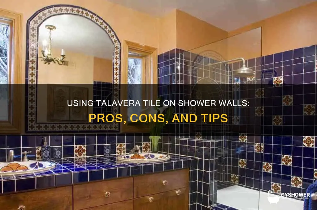 can you use talavera tile on a shower wall