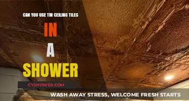 Using Tin Ceiling Tiles in Showers: Creative or Risky Idea?