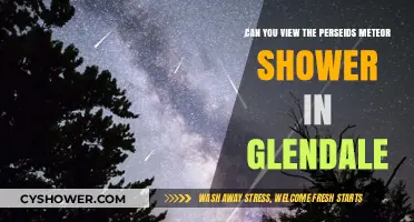 Glendale's Night Sky: Viewing the Perseids Meteor Shower Tips