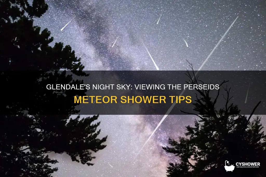 can you view the perseids meteor shower in glendale