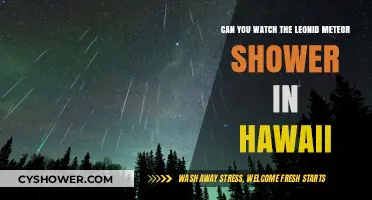 Hawaii's Leonid Meteor Shower Visibility: A Celestial Guide for Stargazers