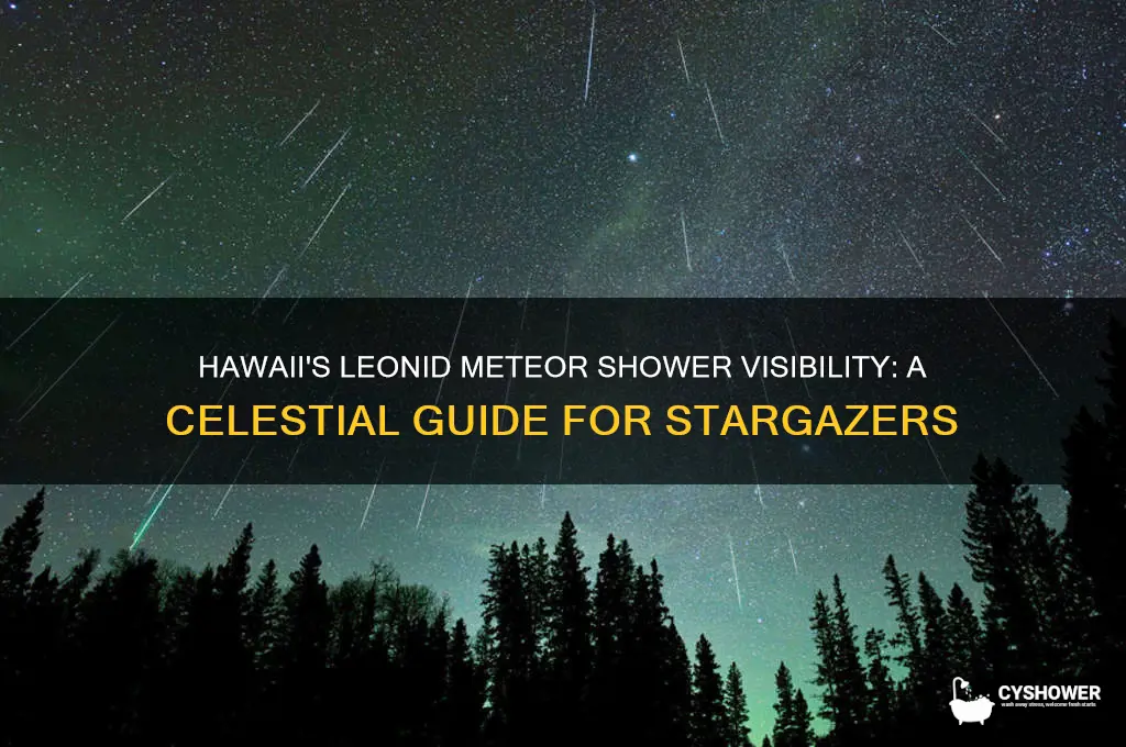 can you watch the leonid meteor shower in hawaii