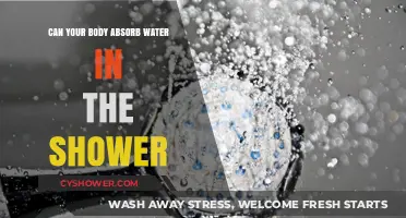 Hydration Myths Busted: Does Your Body Really Absorb Water in the Shower?