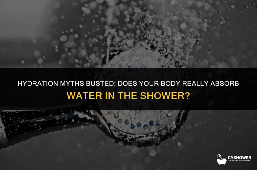 can your body absorb water in the shower