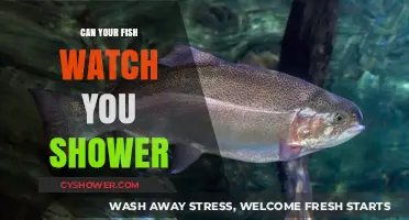 Privacy Pondering: Can Your Fish Really Watch You Shower?