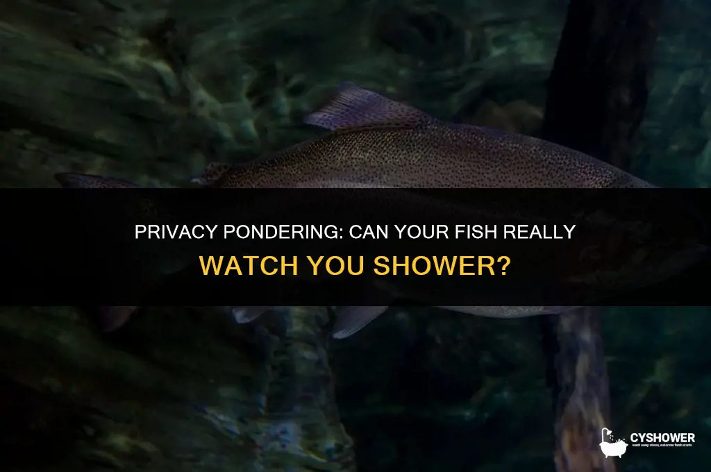 can your fish watch you shower