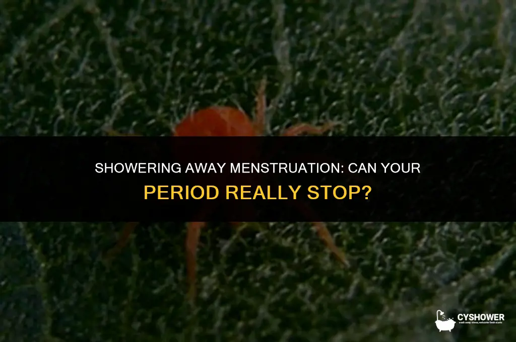 can your period stop in the shower